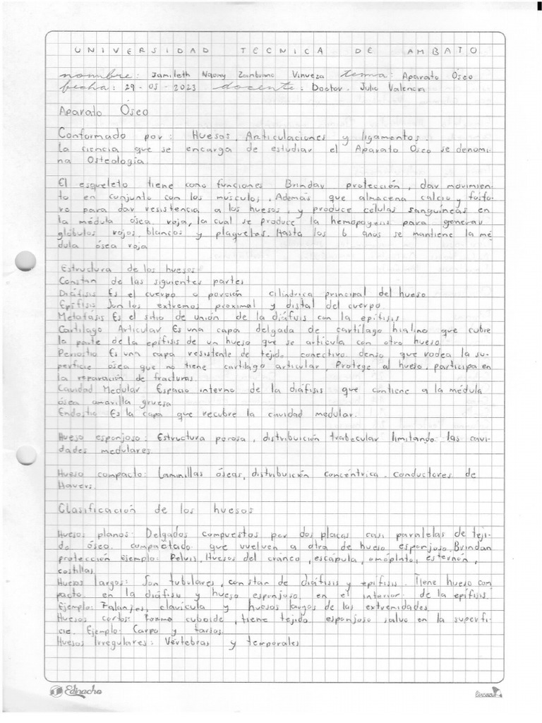 Anatomia aparato osea pdf
