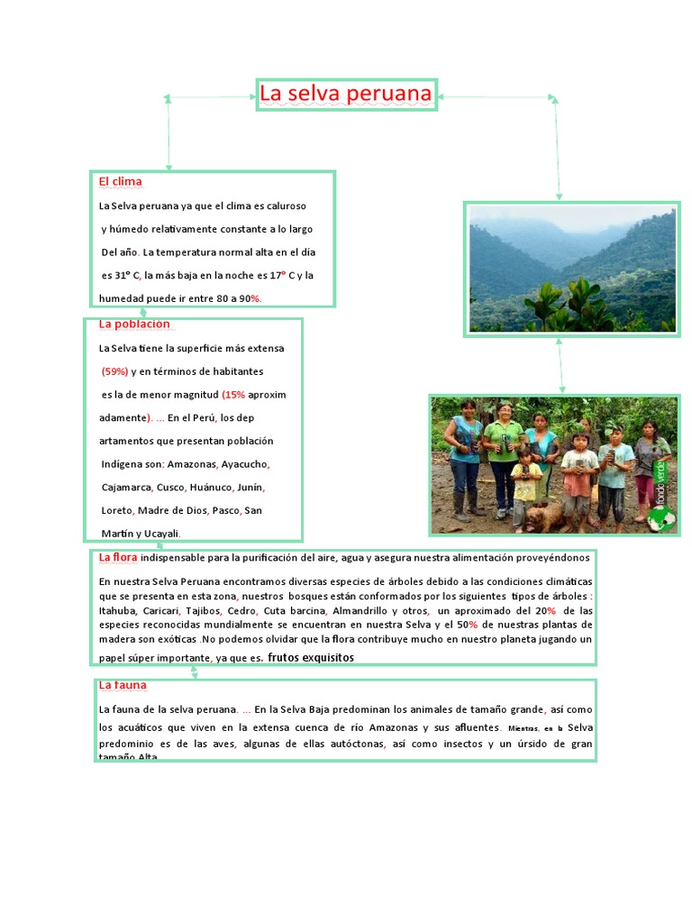 Clima y población de la selva peruana | PDF | Tecnología