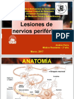 PARA PRESENTAR. Lesiones de Nervios Periféricos I y II. Andrés.