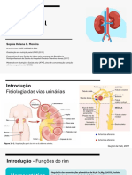 Doenças Renais - Nutricionista Sophia NASF-AB PBH (Presencial)