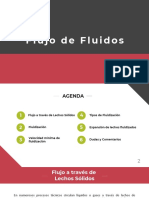 Clase 18. Fluidización