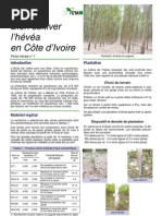 techniques-culturales-de-l-h-v-a-pdf-caoutchouc-botanique