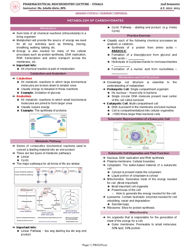 PBIO211Lec FINALS 1 | PDF | Citric Acid Cycle | Chemistry