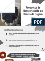 Avance 2-Identificación de opciones.pptx