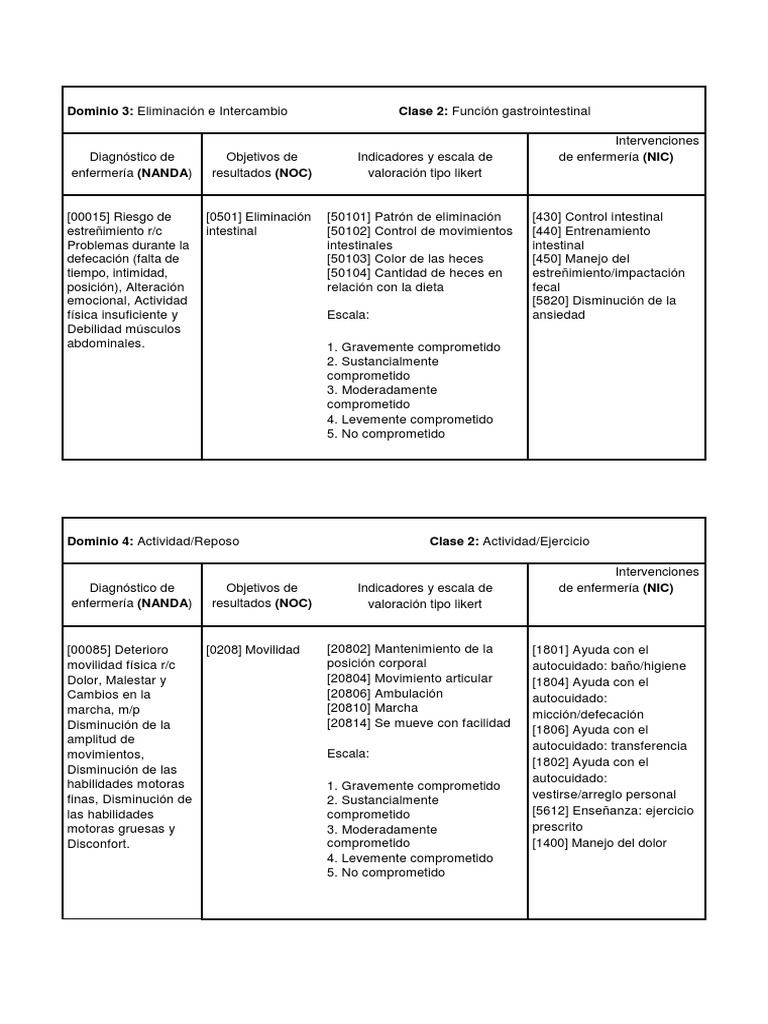 Plan de Cuidados Estandarizados Enfermeros para Personas Mayores ...