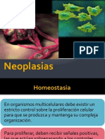 Neoplasias 2018 Enf 076