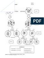 Name: Period:: Genetics Comparing Mitosis & Meiosis