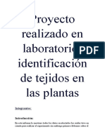 Proyecto Realizado en Laboratorio