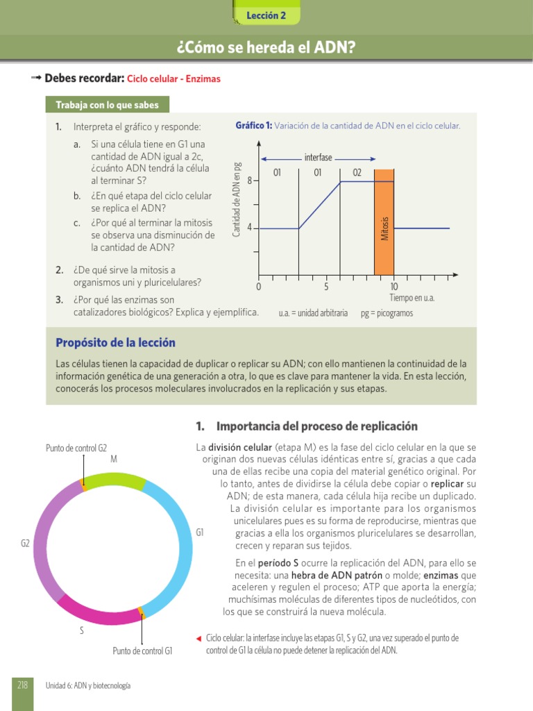 Herencia del ADN y su replicación | PDF | Replicación De Adn | Adn