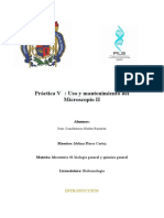 Práctica V - Uso y Mantenimiento Del Microscopio II