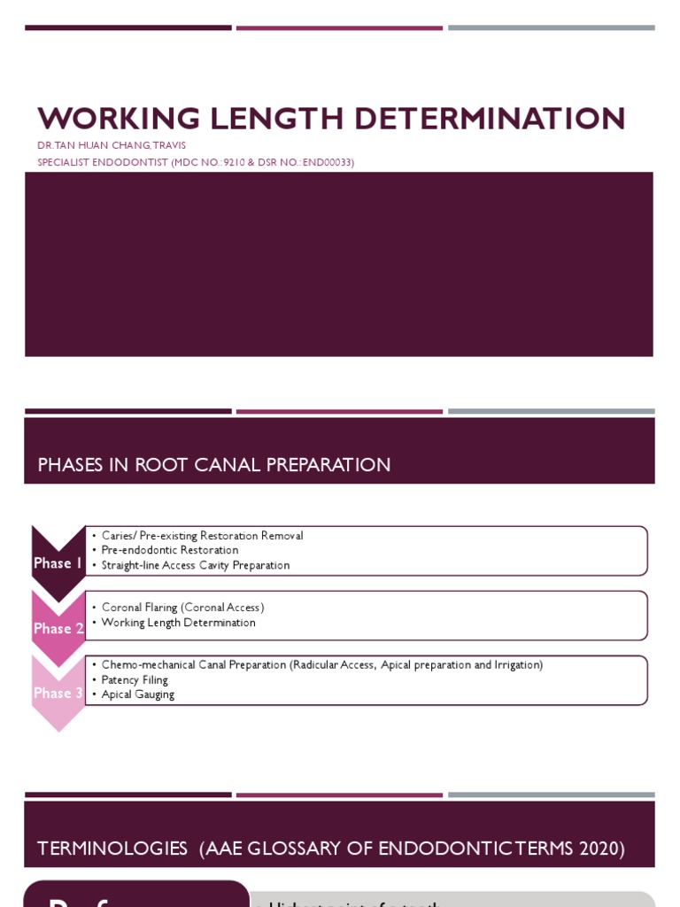Root Canal Working Length Guide | PDF | Dentistry Branches | Dentistry