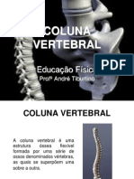 Coluna Vertebral