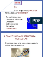 Acidos Nucleicos