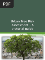 Toronto Tree Protection Guidelines | PDF | Pruning | Trees