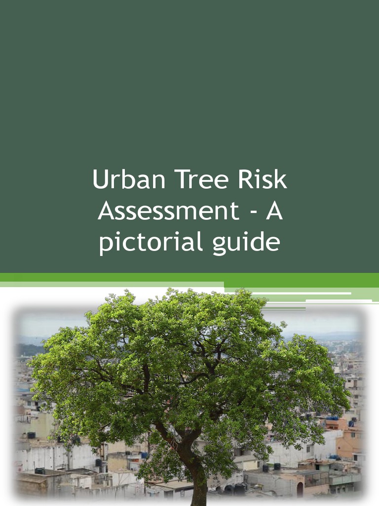 Urban Tree Risk Assessment Guide | PDF