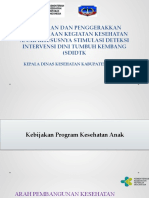 Kadis-Kebijakan Dan Penggerakkan Pelaksanaan Kegiatan Kesehatan Anak