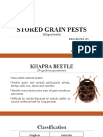 Stored Grain Pests