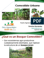 Bosque Comestible Urbano - Presentación