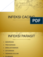 Infeksi Cacing