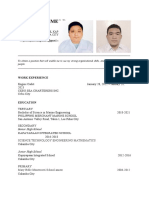 Paul Vincent Resume 030323