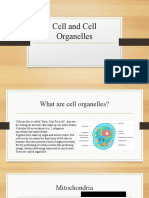 Cell and Cell Organelles