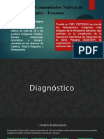 Diagnostico FECONAU...