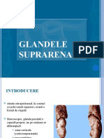 Vdocuments - MX Glandele Suprarenale 569c97d256197