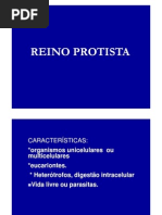 (2) Reino Protista
