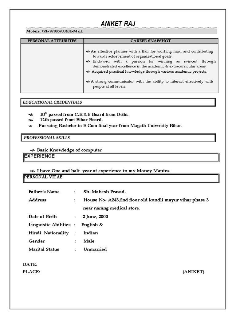 Aniket Raj - Professional Profile Summary | PDF
