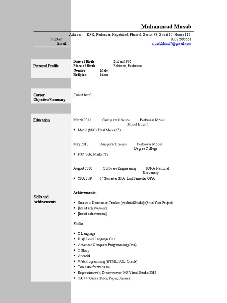 Standard CV Template | PDF