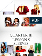 Quarter III Lesson 4.1 Sleeves