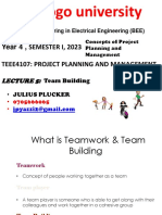 Project Team Building