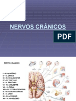 9aula de Nervos Cranicos 2016