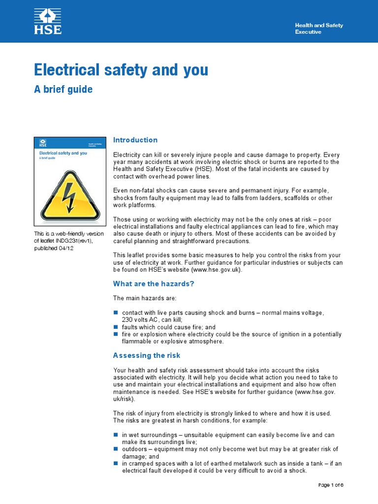 Electrical Safety and You a Brief Guide PDF