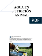 Agua en Nutrición Animal UPCH 2023-I
