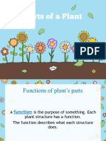 Parts of A Plant Functions
