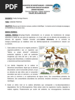 Taller No 007 Cadena Trofica