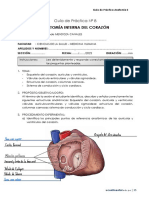 8° Guía Práctica - Anatomía Interna Del Corazón