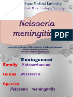 Neisseria Meningitidis