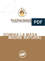 Guía-1_DOMINA-LA-MASA-MADRE-NATURAL