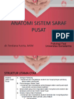 Anatomi Sistem Saraf Pusat (SSP) 1
