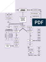 Mapa Conceptual de Los Lipidos