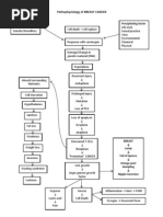Pathophysiology of BREAST CANCER
