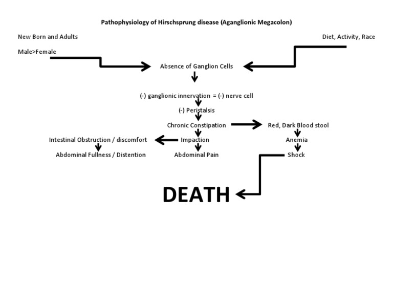 Pathophysiology Of Hirschsprung Disease