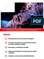 BMCG .UF8. Extracción y Purificación de Ácidos Nucleicos OK