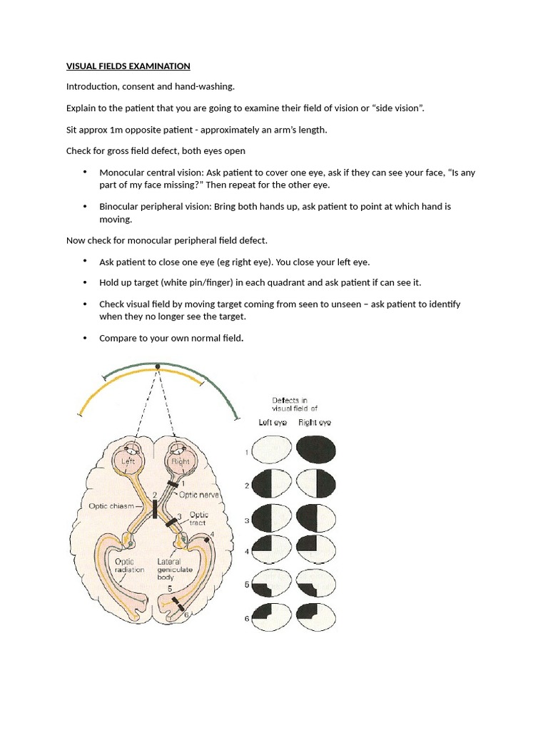 Visual Fields Examination Guide | PDF