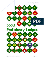 Scout - Badge Syllabus