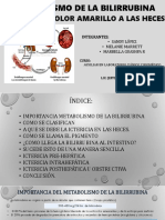 Diapositivas Sobre El Metabolismo de La Bilirrubina Causada Por La Conexión Amarilla Hacia Las Heces