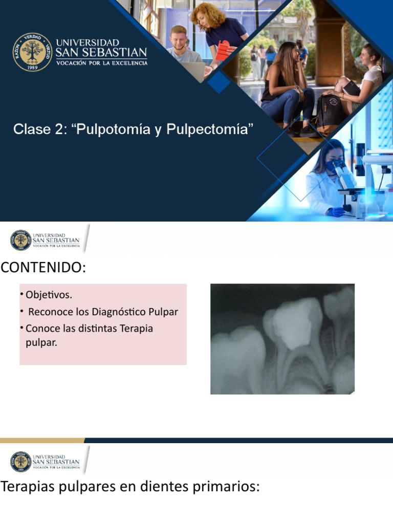 Clase 2 - Pulpo y Pulec 2023 | PDF | Ciencias de la Salud | Medicina ...