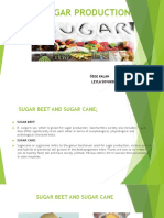 Sugar Production Sunum
